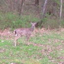 Nathan Bedford Forrest State Park - Parks