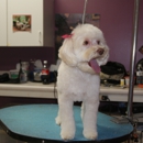 Waggers Professional Pet Salon - Dog & Cat Grooming & Supplies