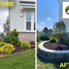 Lions Tree & Landscaping