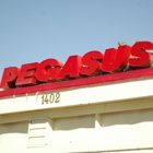 Pegasus