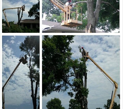 BP Trees, LLC - Tulsa, OK