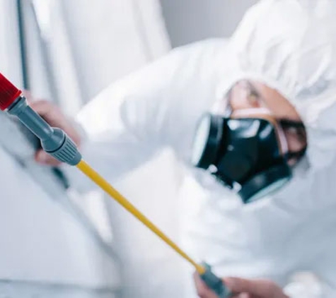 Natural Pest Control Queenslan - Bracken Ridge, QLD