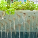 A Plus Hydroponics & Organics - Hydroponics Equipment & Supplies