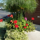 Boehler's Greenhouse - Greenhouses