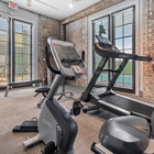 Josephine Lofts