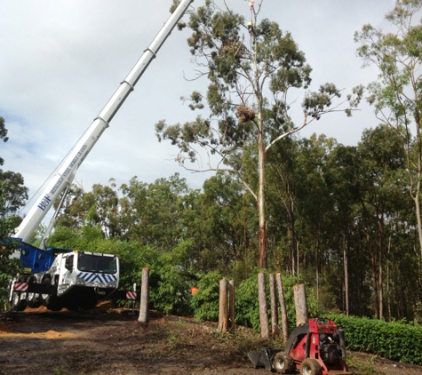 Steve's Tree Cutting - Wurtulla, QLD