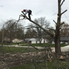 Dannys Tree Service LLC gallery