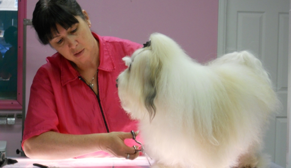 A Paw Spa - Littleton, CO