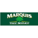 Marquis Tree Service - Stump Removal & Grinding