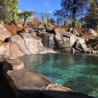 Natural Design Swimming Holes