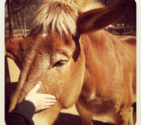 Little Creek Farm Conservancy - Decatur, GA