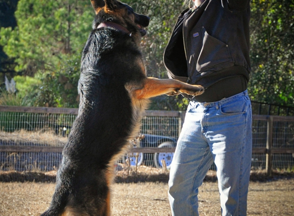 ICNDF Dog Training Center - Saint Augustine, FL