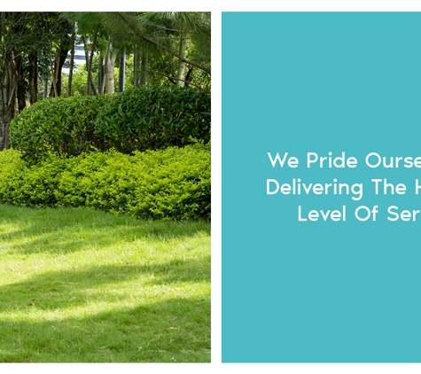 Brisbane Valley Blue Couch - Atkinsons Dam, QLD. We Pride Ourselves In Delivering The Highest Level Of Service