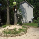 Ruiz Tree & Landscape Service - Tree Service