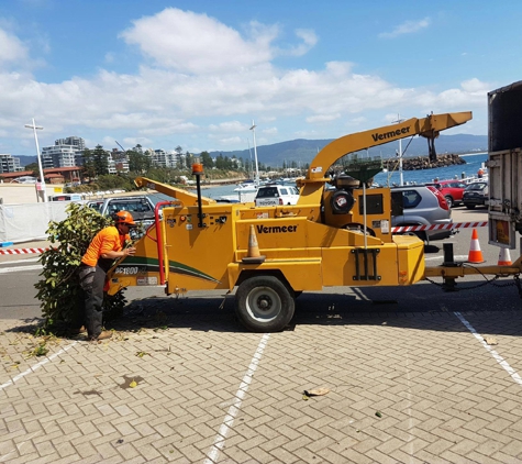 Tree Solutions - Rainbow Flat, NSW