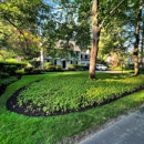 Lawn Management - Pest Control Services