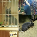 Today's Pet Inc - Pet Stores