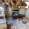 A1 Restoration gallery