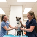 Animal Medical Center of Mt. Pleasant - Veterinarians