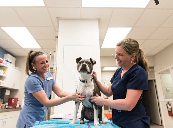 Animal Medical Center of Mt. Pleasant - Mount Pleasant, SC