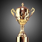 Performance Trophies & Medals