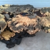 Redwood Burl Company gallery