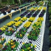 Smithbridge Gardens Center, Nursery & Landscaping gallery