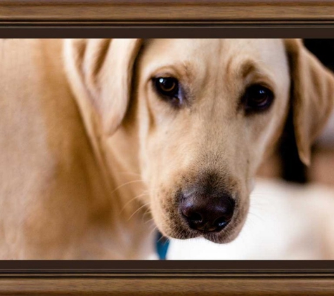 V.I.P. Picture Framing - Nambour, QLD