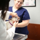 Animal Medical Clinic of Gulf Gate