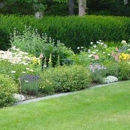 River Birch Design - Landscape Designers & Consultants