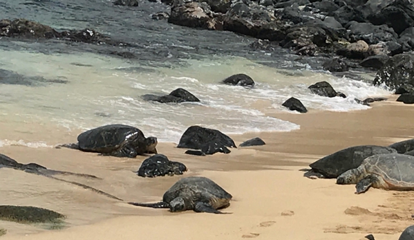 By The Bay - Paia, HI