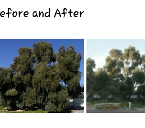 Aron's Tree Service - Las Vegas, NV