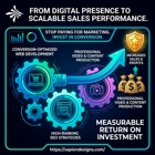 Sapien Designs SEO digital marketing hub