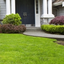 Ivy Terra Lawn and Landscape - Lawn Maintenance