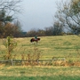 TopLine Equestrian Center