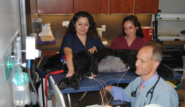 Veterinary Specialty and Emergency Center of Thousand Oaks - Thousand Oaks, CA