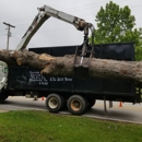 Reynolds Tree Service - Tree Service