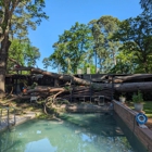 Miller Tree Service, Inc.