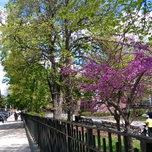 St. James Park - Bronx, NY