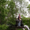 Olson's Tree Service gallery