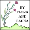 By Flora and Fauna gallery