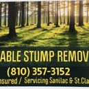 Affordable Stump Removal - Tree Service