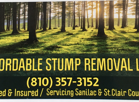 Affordable Stump Removal