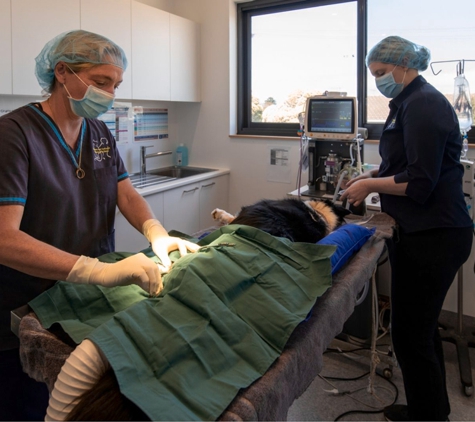 Torquay and Surfcoast Veterinary Clinics - Torquay, VIC