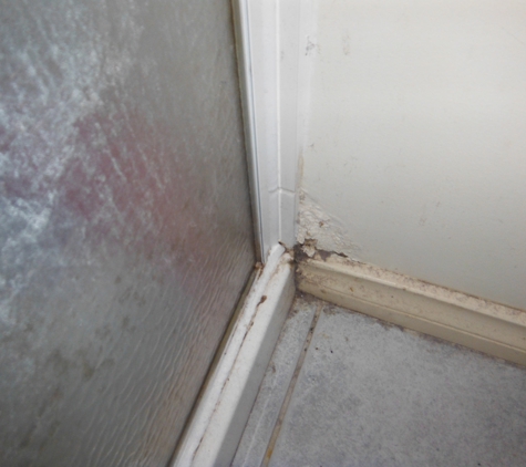 Look Sharp Inspections - Woolamai, VIC