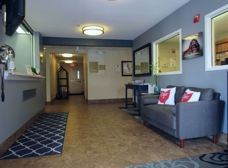 Gallery Image Number 2