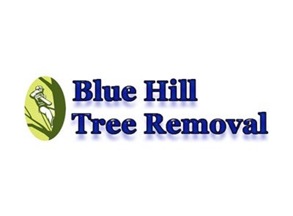 Blue Hill Tree Removal - Stoughton, MA