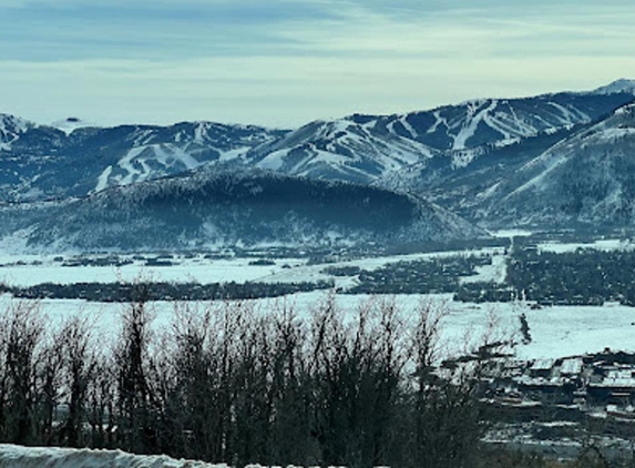 Curbside Transportation - Springville, UT