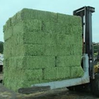 Southern Hay Supply