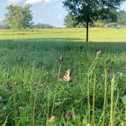 Valley Forge National Historical Park